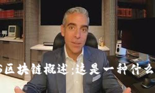 FLS区块链概述：这是一种什么币？