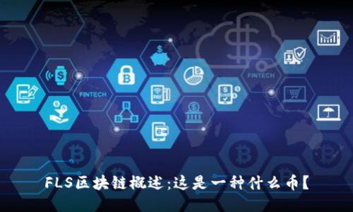 FLS区块链概述：这是一种什么币？