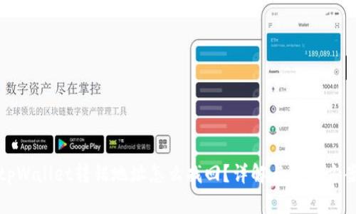 tpWallet转错地址怎么找回？详解与解决方案