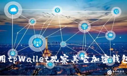 如何使用tpWallet观察其它加密钱包的信息
