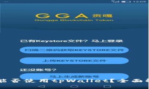 苹果系统能否使用tpWallet？全面解析与指南