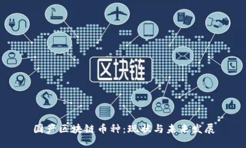 国产区块链币种:现状与未来发展