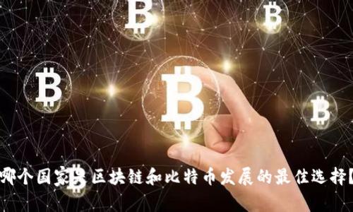 哪个国家是区块链和比特币发展的最佳选择?