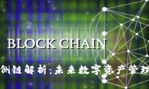 TP卡钱包侧链解析:未来数字资产管理的新趋势