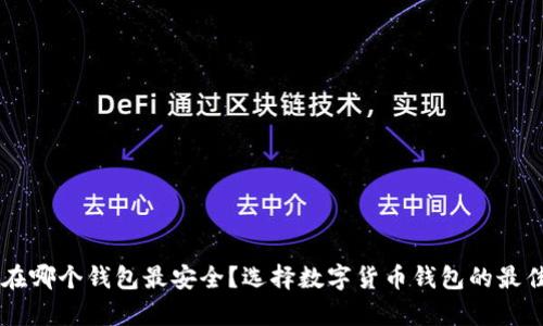 币存在哪个钱包最安全?选择数字货币钱包的最佳指南
