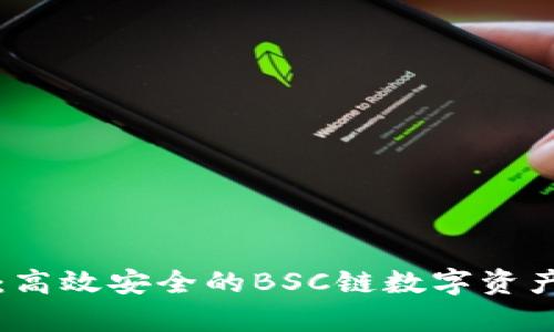 tpWallet:高效安全的BSC链数字资产管理工具