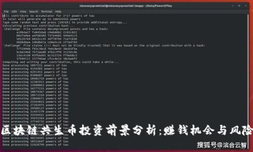 区块链共生币投资前景分析：赚钱机会与风险