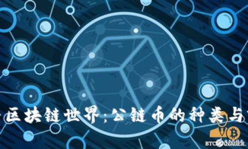 探寻区块链世界:公链币的种类与前景
