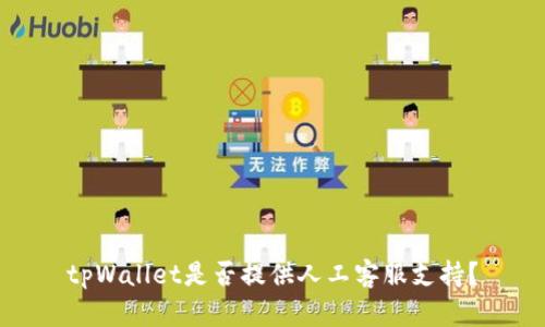 tpWallet是否提供人工客服支持？