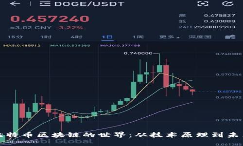 探索比特币区块链的世界:从技术原理到未来展望