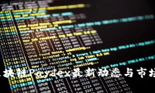 2023年区块链Paydex最新动态与市场趋势分析
