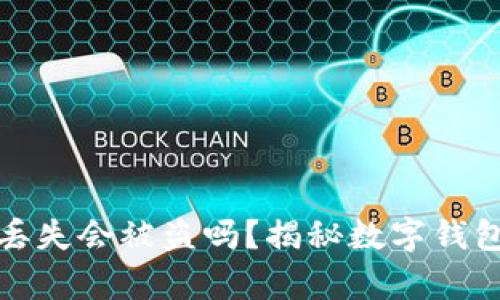 tpWallet丢失会被盗吗？揭秘数字钱包安全之道