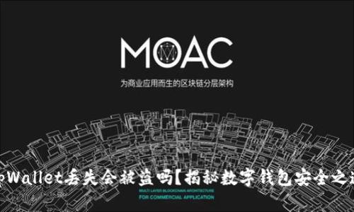 tpWallet丢失会被盗吗？揭秘数字钱包安全之道