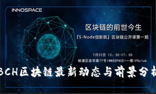 BCH区块链最新动态与前景分析