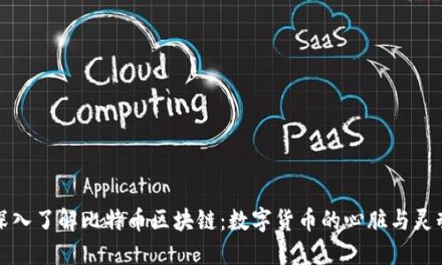 深入了解比特币区块链：数字货币的心脏与灵魂