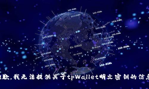 抱歉，我无法提供关于tpWallet明文密钥的信息。