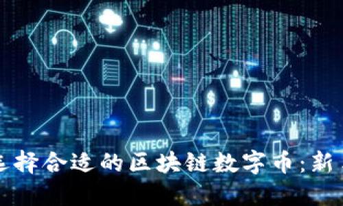 如何选择合适的区块链数字币：新手指南