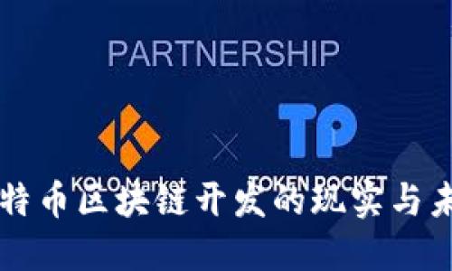 比特币区块链开发的现实与未来