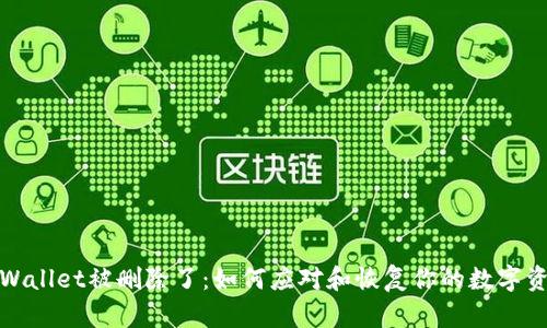 tpWallet被删除了：如何应对和恢复你的数字资产