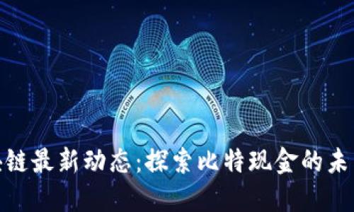 BCH区块链最新动态：探索比特现金的未来与潜力