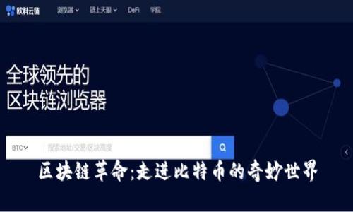 区块链革命：走进比特币的奇妙世界