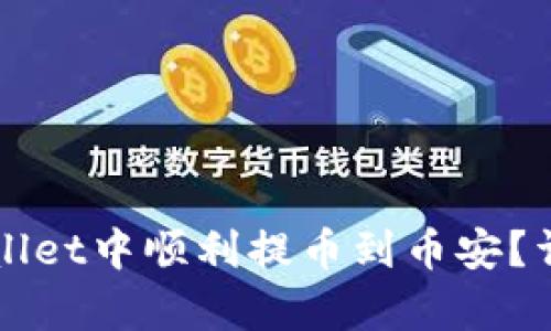 如何在tpWallet中顺利提币到币安？详细操作指南