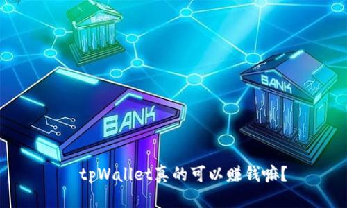   tpWallet真的可以赚钱嘛？