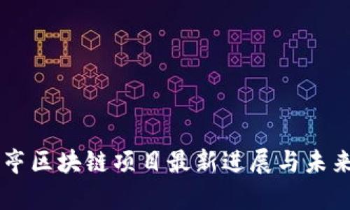 贾跃亭区块链项目最新进展与未来展望