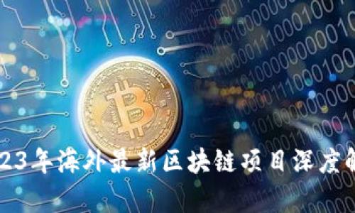2023年海外最新区块链项目深度解析