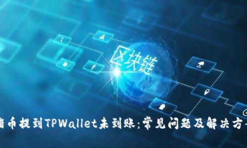 猪币提到TPWallet未到账：常见问题及解决方案