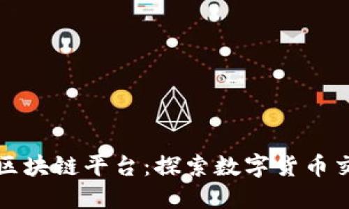 最新交易区块链平台：探索数字货币交易的未来