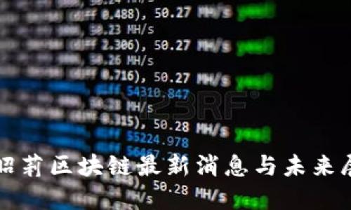 孟昭莉区块链最新消息与未来展望