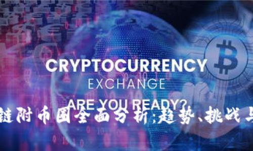 区块链附币圈全面分析：趋势、挑战与未来